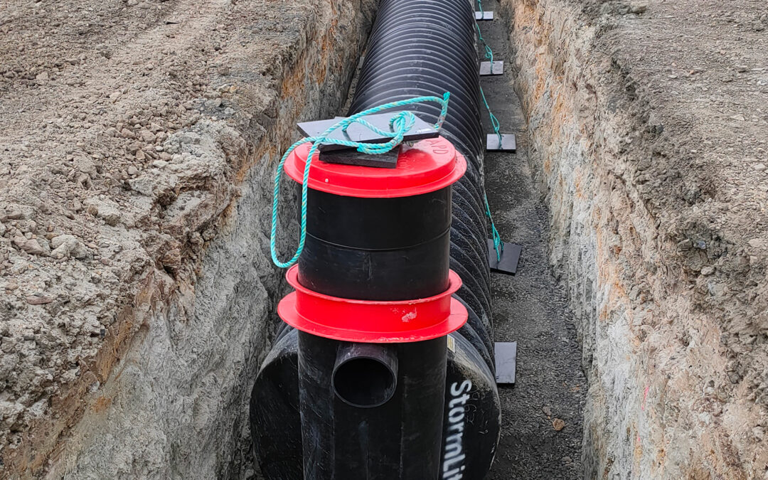 Lorem ipsum dolor sit amet consectetur.